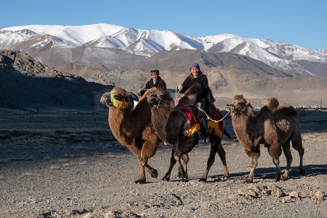 From Clutter to Freedom A Minimalist Nomad Journey