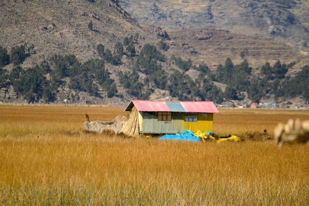 From Solo Travel to Shared Events The Power of Nomad Communities